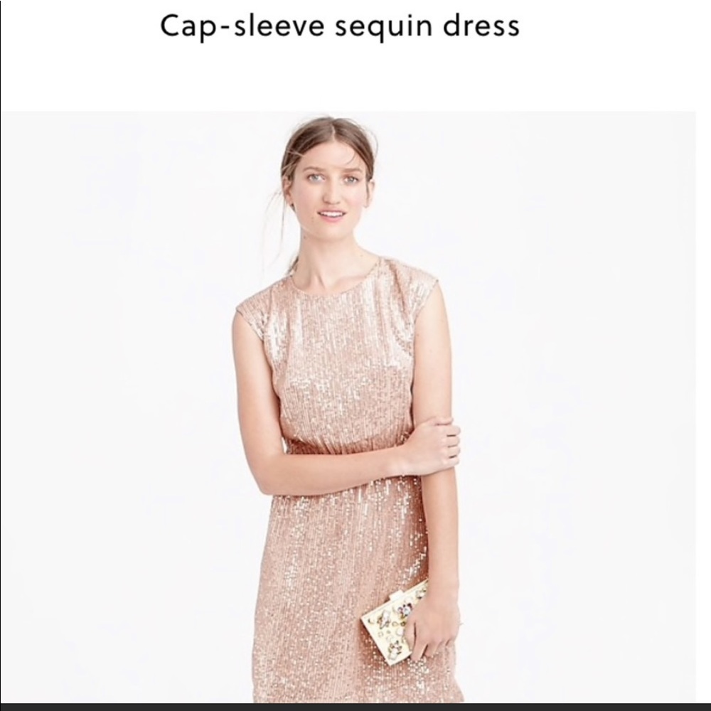 J. Crew Sequin Party Dress in Blush